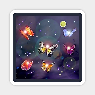 Butterflies in the Night Magnet