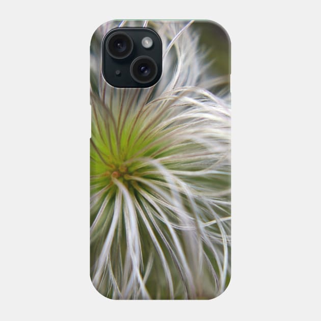 Fluffy Allium Natural Phone Case by Viking Visual - Lori Svensen