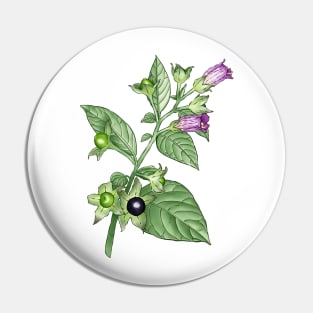 Deadly Nightshade ~ Atropa Belladonna Pin