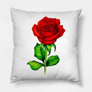 Rose Pillow