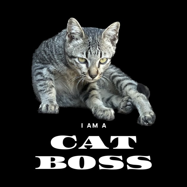 I am a cat boss by Yenz4289