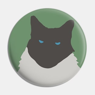 Abstract Cat on Green Pin