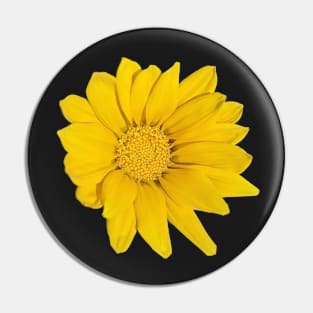 Heliopsis Hellianthoides (Smooth Oxeye) Pin