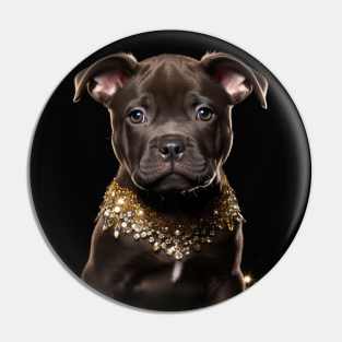 Pitty With Jewels Pin