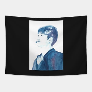 EXO D.O Watercolour Design by NiamhYoungArt Tapestry