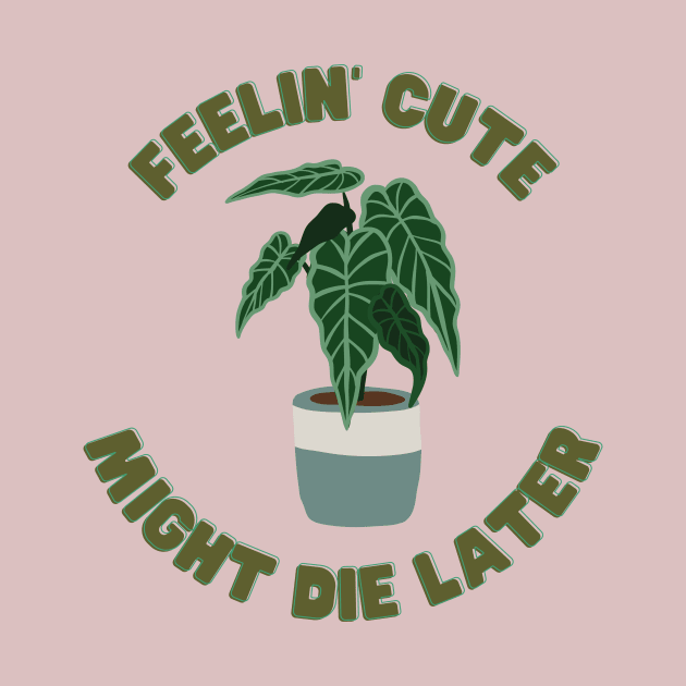 Feelin' Cute - Might Die Later by North Eastern Roots