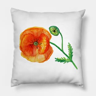 Poppy Flower in Red Pillow