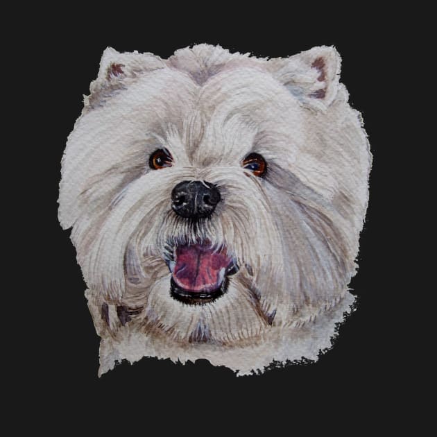 West highland white terrier by doggyshop