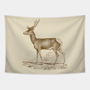 Deer Monochrome Vintage Wildlife Illustration Tapestry