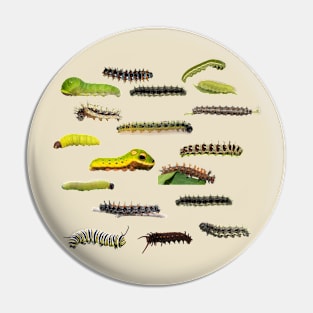 New England Caterpillars Pin