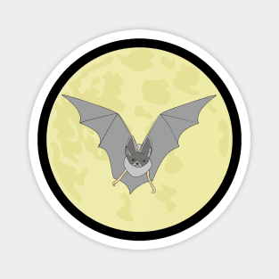 Bat Magnet