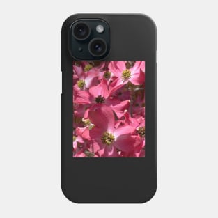 Cherokee Dogwood Tree Blossoms Phone Case