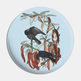 John J. Audubon’s Fish Crow Pin