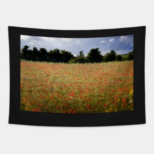 Poppy Field Tapestry