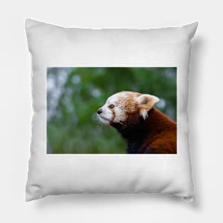 Red Panda Pillow