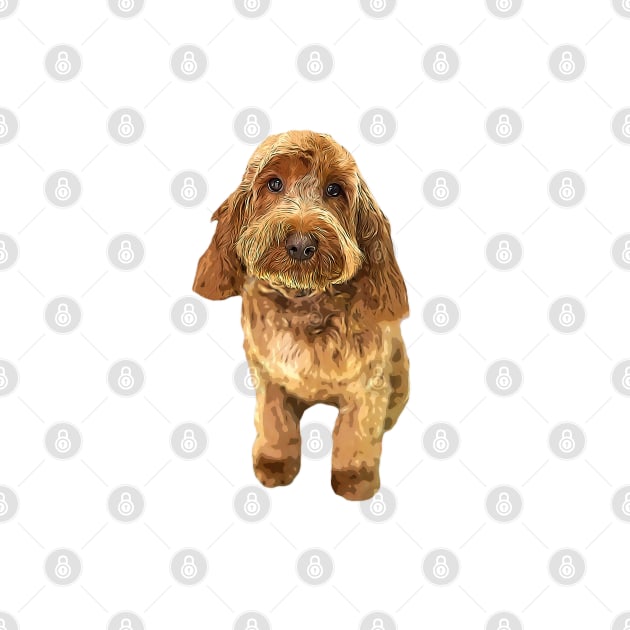 Cockapoo Cockerpoo Spoodle Cutie Doodle Dog by ElegantCat