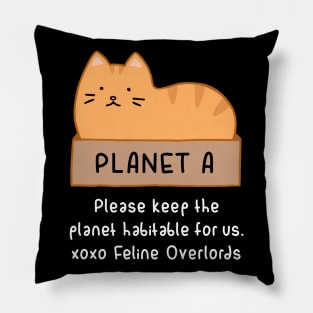 Orange Cat - Habitable Planet (Black) Pillow