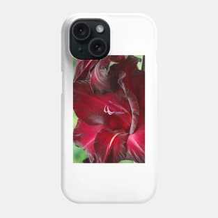 Gladiolus  'Black Surprise' Phone Case