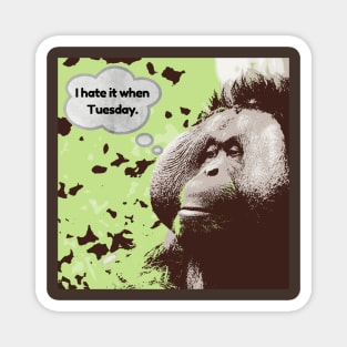 I hate it when Tuesdays orangutan Magnet