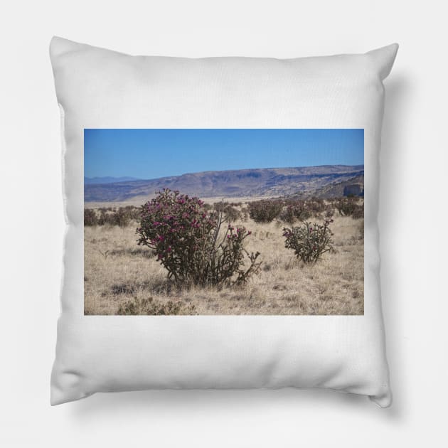 850_8543 Pillow by wgcosby