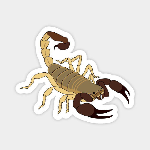 Desert Scorpion Cartoon Magnet by JenTiger