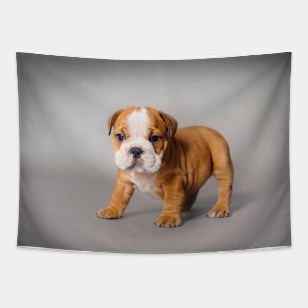 Bulldog puppy Tapestry by PetsArt