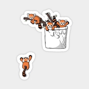 Pocket Red Panda Bears Magnet