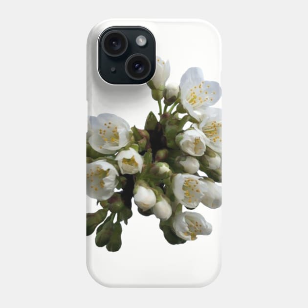 Cherry Blossoms Phone Case by PrintLads