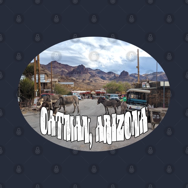 Oatman, Arizona by stermitkermit