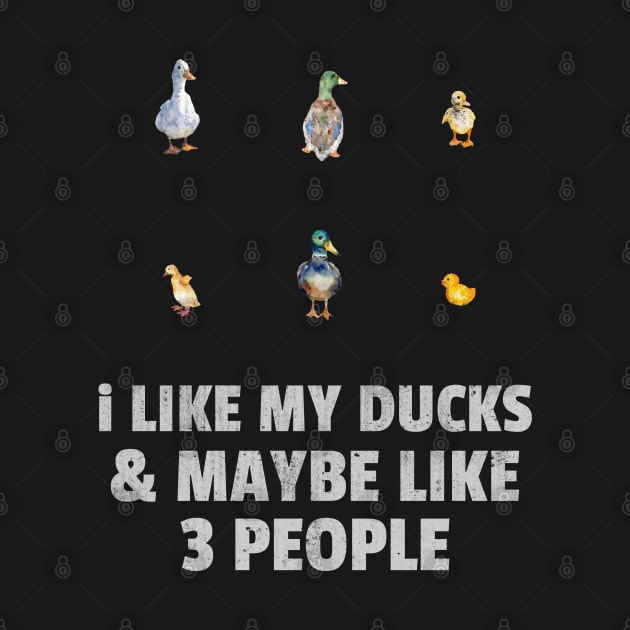 I like my ducks and maybe like three people by marko.vucilovski@gmail.com