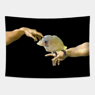 Creation of a Goffin's cockatoo Tapestry