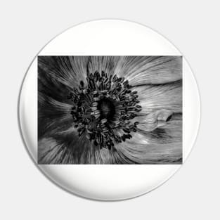 The Anemone in Black and white Pin