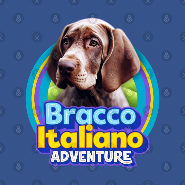 Bracco Italiano by Puppy & cute