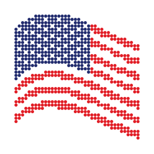 US Flag T-Shirt