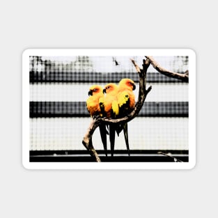 3 Freunde / Swiss Artwork Photography Magnet