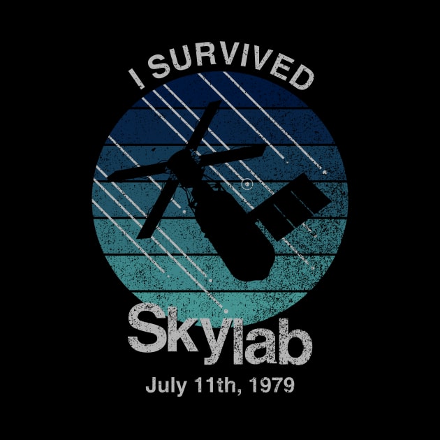 I Survived Skylab by GloopTrekker