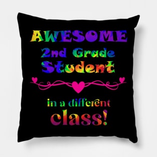 Awesome 2nd Grade Student – in a different class! Pillow
