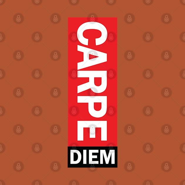 Carpe Diem Seize The Day by ChilledTaho Visuals