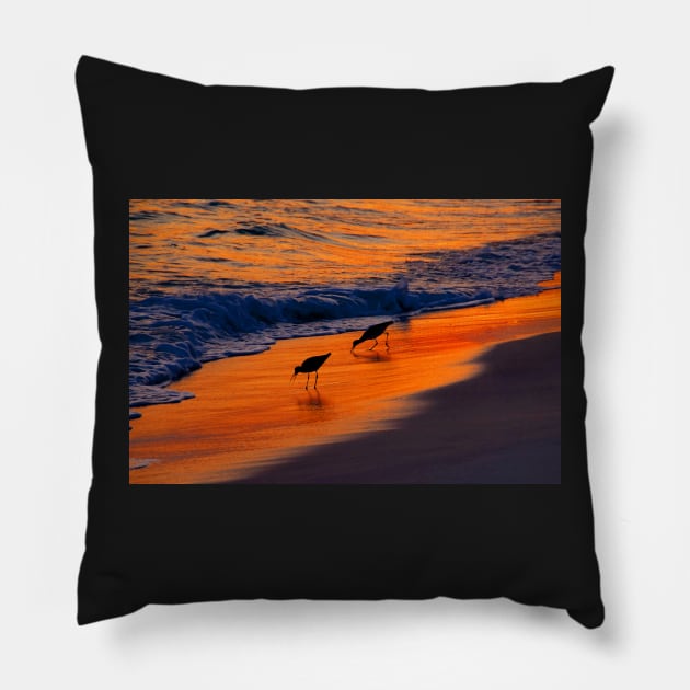 Beach couple Pillow by dltphoto