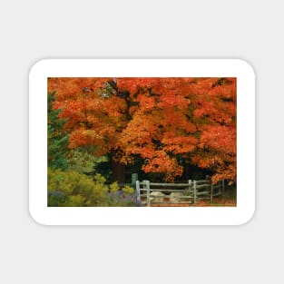 Autumn Glory Magnet