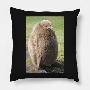 King penguin chick Pillow