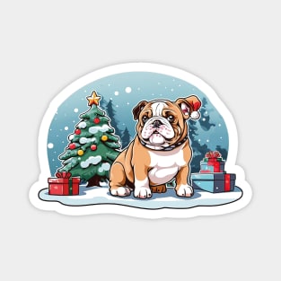 English bulldog at Christmas Magnet