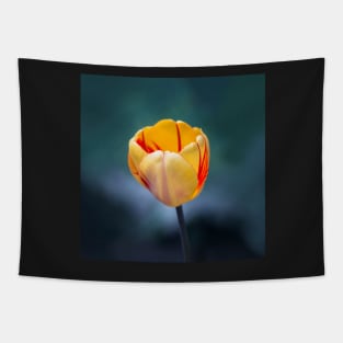 Colorful Tulip Tapestry