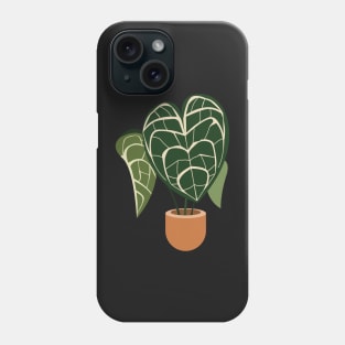 Anthurium clarinervium plant in a pot Phone Case