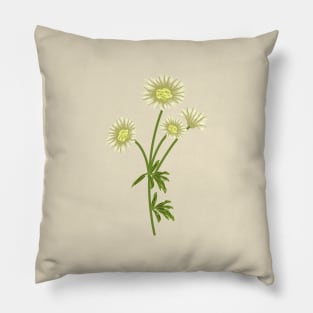 Daisy Plant Botanical Pillow