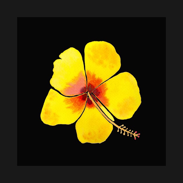 Yellow Hibiscus Flower with a black background by Sandraartist