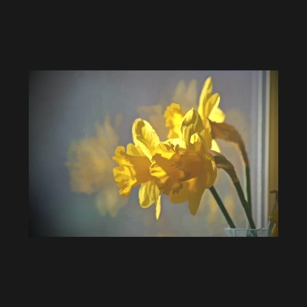 Morning Daffodils by EileenMcVey