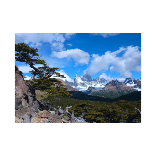 Mount Fitz Roy Patagonia by stevepaint