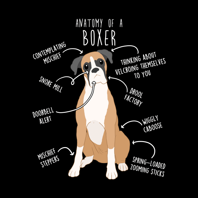 Boxer Dog Fawn Anatomy by Psitta