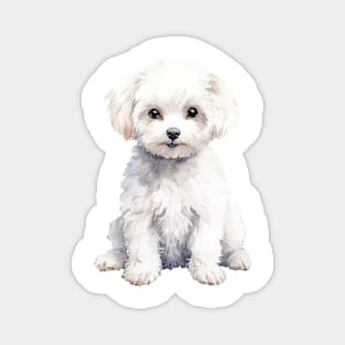 Bichon Frise Magnet